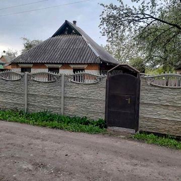 Дом кирпичный с участком сараем и огородом