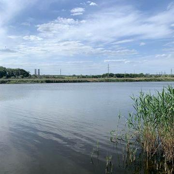 Продаю будинок /дачу/ Інгулецький район/Турбази