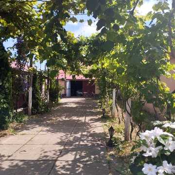 Продам дом Закарпатье ВелыкиБереги