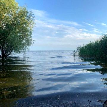Продаж двох будинків у садовому товаристві Чайка