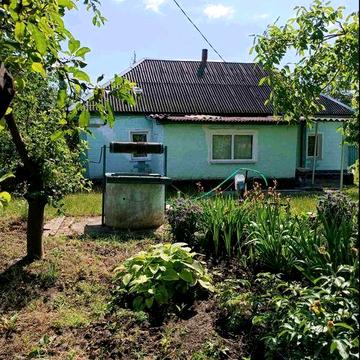 Будинок в гарному стані