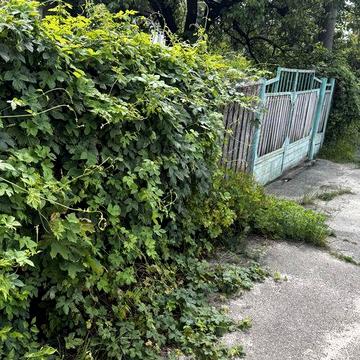 Продам фасадну ділянку с частиною будинка