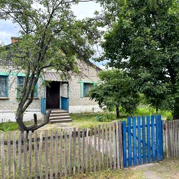 Продам цегляний будинок з газом та земельною ділянкою 45 соток, с. Лисівка, Житомирського району
