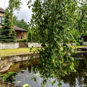 Продаж садиби в селі Кийлів з виходом до води