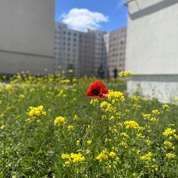 Продаж 1к Квартира Князя Володимира Великого вулиця ЖК Новая Буча