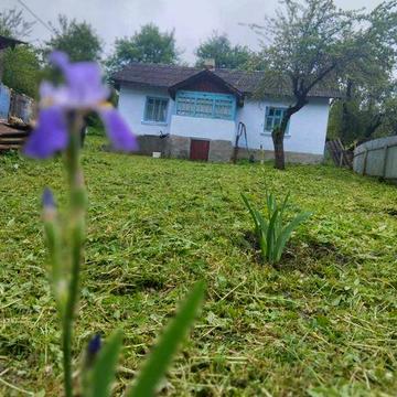 Будинок біля соснового лісу із затишною верандою