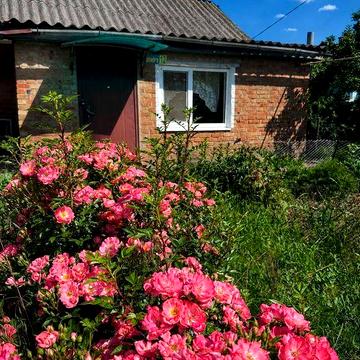 Продається будинок Тарасівка, Полтавська обл