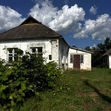 Продам хату в селі з господарськими будівлями та земельною ділянкою