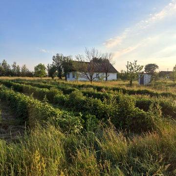 Продам будинок в с. ХРЯСЬК