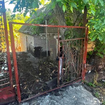 Сдам дачу на долгое время