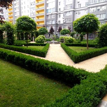 Здається 1 кімнатна квартира без комісії ( перша здача)