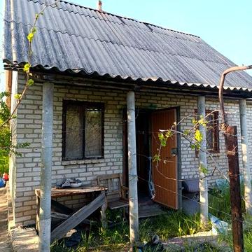Сдам дачу,ориентир пересечение улиц Студенческая и Григория Квітки-Основяненка(Зелёный яр)