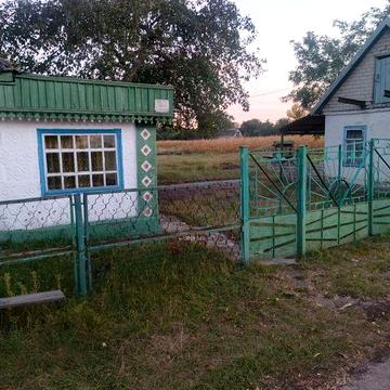 Здам в оренду будинок