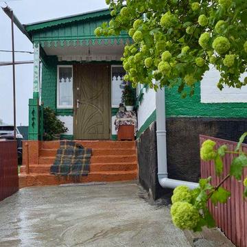 Продам доглянутий  будинок у мальовничому селі.