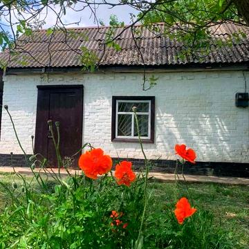 Продається дачна ділянка з будинком біля Умані