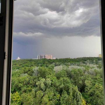Квартира 1 к. Центр, біля лісу