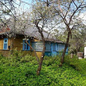 Житловий будинок с. Перевали від власника