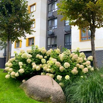 Продаж 1к квартири в заселеному будинку 15 хв. від Києва ЖК Молодість