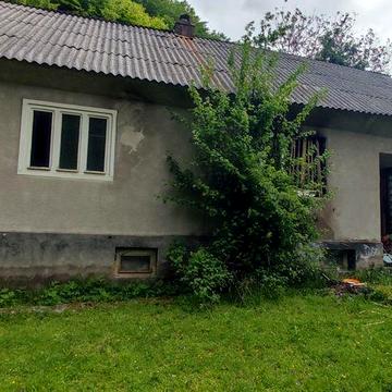 Продається будинок. С. Водиця, Рахівський район