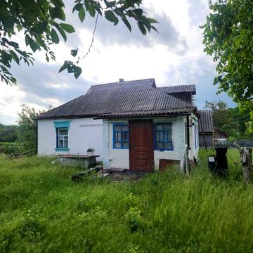 Будинок в селі Андріївка