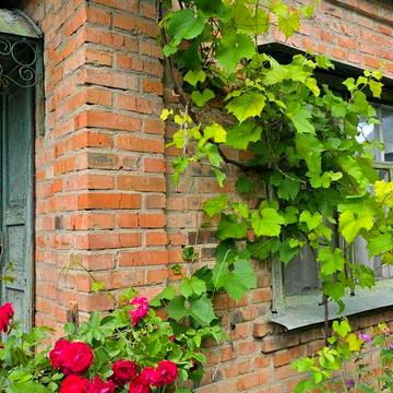 Продам дача Масив Садовий Барське шосе 9052