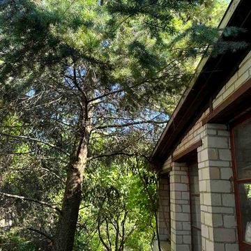 Здам в оренду будинок для робітників Заріччя