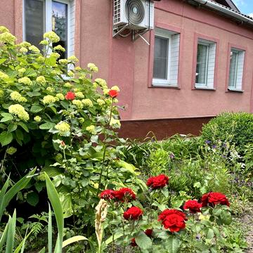 Будинок кінцева Свободи