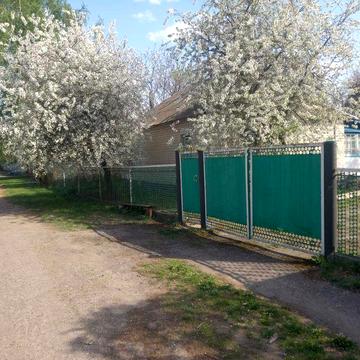 Продам будинок с.Нова Басань