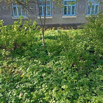 Продам будинок  біля Демидівки