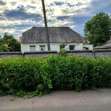 Житловий будинок в с.Наливайківка, Бучанський ( раніше Макарівський) район