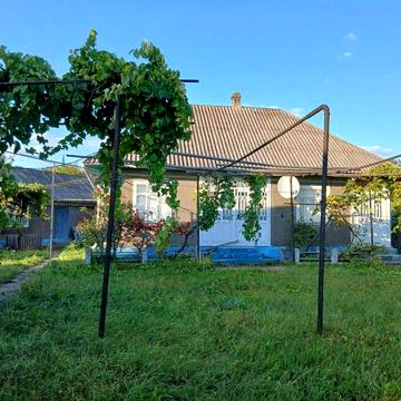 Велике господарство в селі Малинці