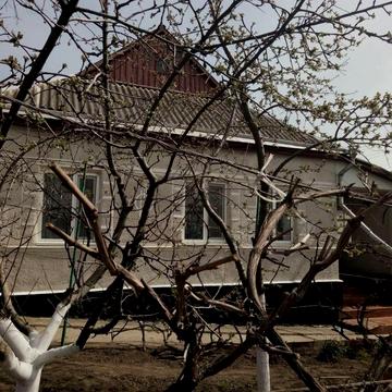 Продам домоволодіння: 2 житлові будинки, газ, вода, інтернет