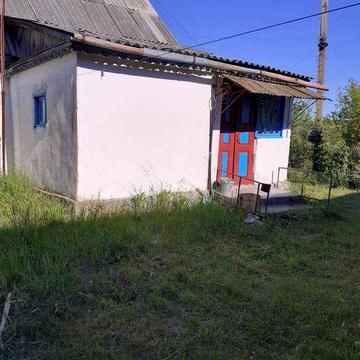 Продам будинок с.Новоселиця