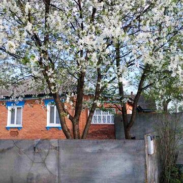 Продам будинок з земельною ділянкою