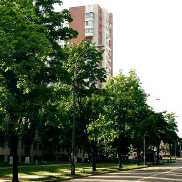 Продаж 2-кімнатної квартири 50,5 м²