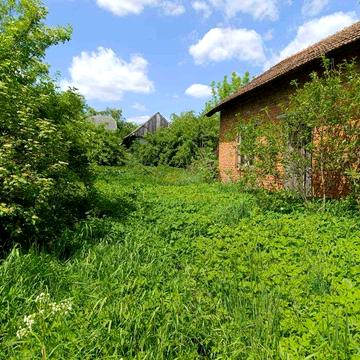 Продаж будинку село Орішківці Львівська олбласть
