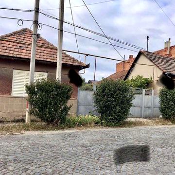 Продається  2 будинки