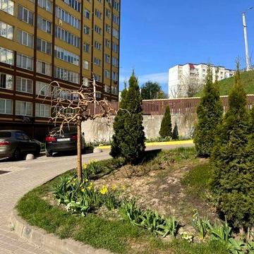 Усі держ. програми Так! Простора та світла 2к середній поверх. Будинок зданий 44454 ЖК Avila Gold