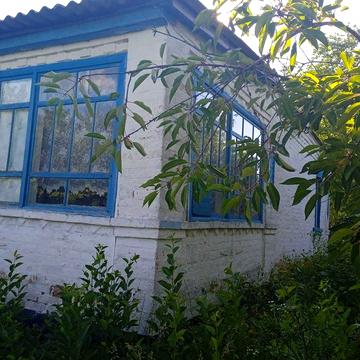 Продається будинок в с. Лозуватка , Черкаська область, Звенигородського району. Можливий торг