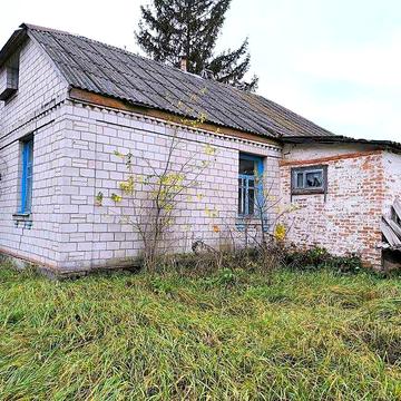 Жилий будинок та 29сот. в с.Бишів.Розвинена інфраструктура.Київ 40км.