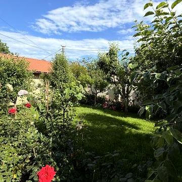 Сдается дом с мебелью длительно в Черноморке