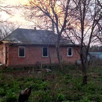 Продам будинок в селі Скрипчин , чернігівська область.