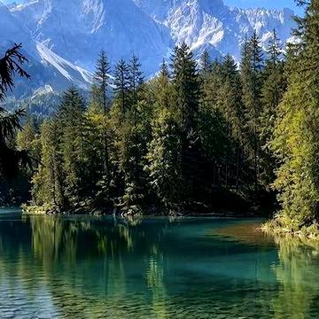 Здається 2 кімнатна поруч ліс та озеро.
