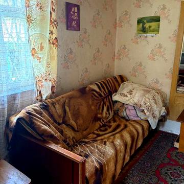 Продам дачу Старий Мерчик Валківський р-н