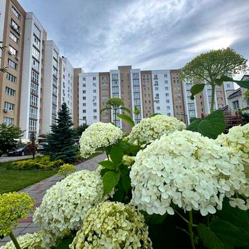 БЕЗ % Краща пропозиція. Квартира Чабани 55м ЖК Чабани-2