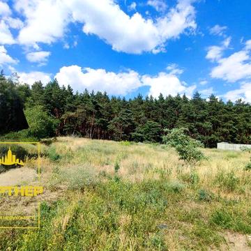 Великий  будинок із  властним  виходом в ліс Кременчук