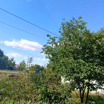 Продам будинок в Кахновке