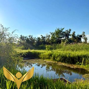 Продаж укомплектованого 2-поверхового заміського будинку  в 5 хв від м. Кропивницький: власний став, сауна та колиба