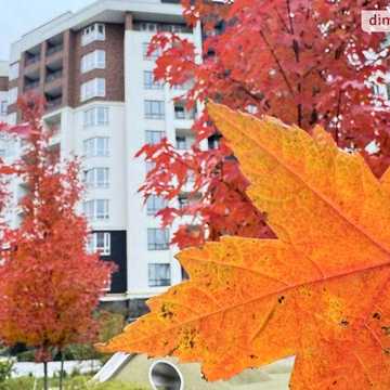 Продаж 1к Квартира Ольги Кобилянської (Достоєвського) вулиця ЖК Синергия Сити