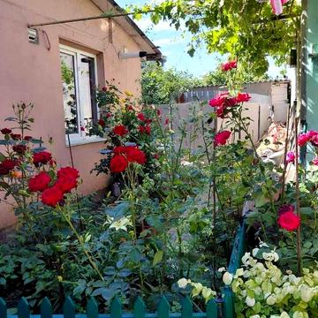 Продам дом на п.Котовского (пр-кт Добровольского/ул.Кишиневская)